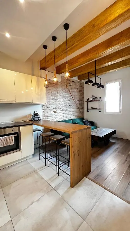 Cosy Loft Sagrada Familia Apartment Barcelona